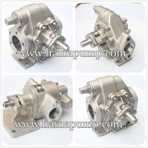 304-316-Stainless-Steel-Oil-Pump