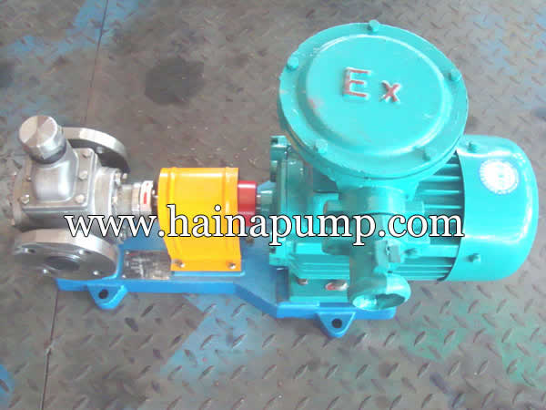 Gear-Lube-Oil-Pump