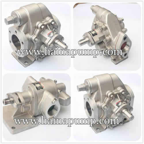 Stainless-steel-palm-oil-pump