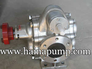 316-Stainless-steel-soybean-oil-pump-2-inch-3-inch