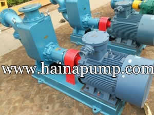 Oil transfer pumps