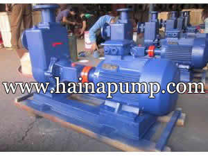 Self-Priming Sewage Water Pump