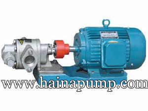 Stainless Steel Gear Pump