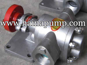 Stainless-steel-soybean-oil-pump-1-inch